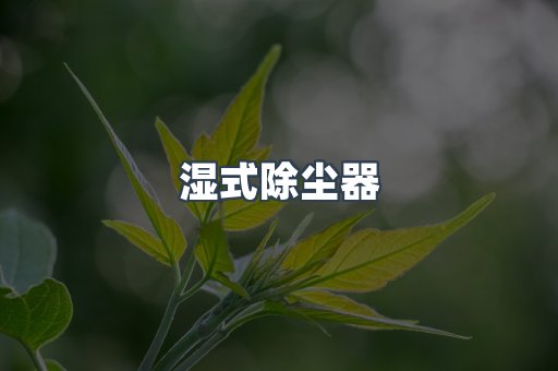 脉冲布袋除尘器