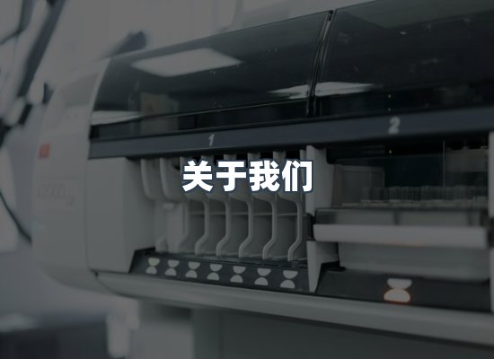 专业团队
